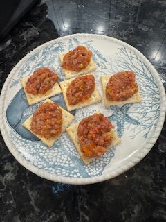 kid approved fresh salsa served on crackers on a decorative plate