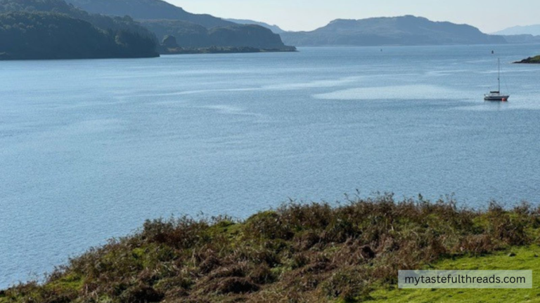 Moody Scottish coastline with mist and rocky cliffs, reflecting the atmosphere of The Hawk by Monica McCarty in this Highland romance book review.