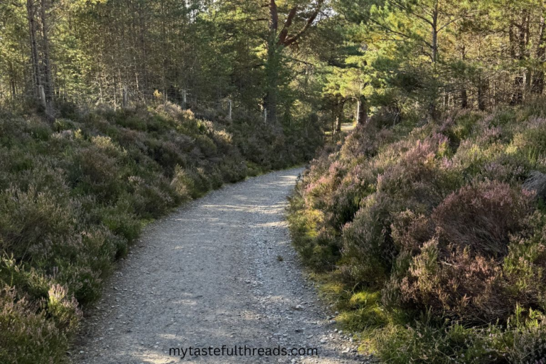 Gravel walking path winding through trees near Inverness in the Scottish Highlands.