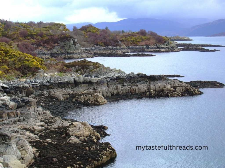 Rocky coastline on the Isle of Skye with calm water, rugged cliffs, and soft Scottish light.