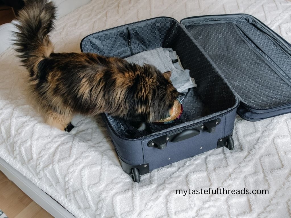Cat Packing Stuff What to Pack for 2 Weeks in Scotland in Late August & September